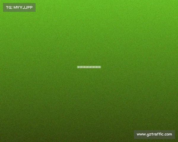 瑞典世预赛事录像—瑞典世预赛阵容